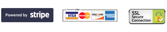 The image shows a secure connection to a payment system that accepts Visa, Mastercard, and Discover credit cards.