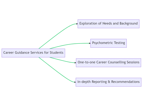 This image is showing the services offered by career guidance company Carerrhub to help students explore their needs and background, do psychometric testing, and have one-to-one career counselling sessions with in-depth reporting and recommendations.